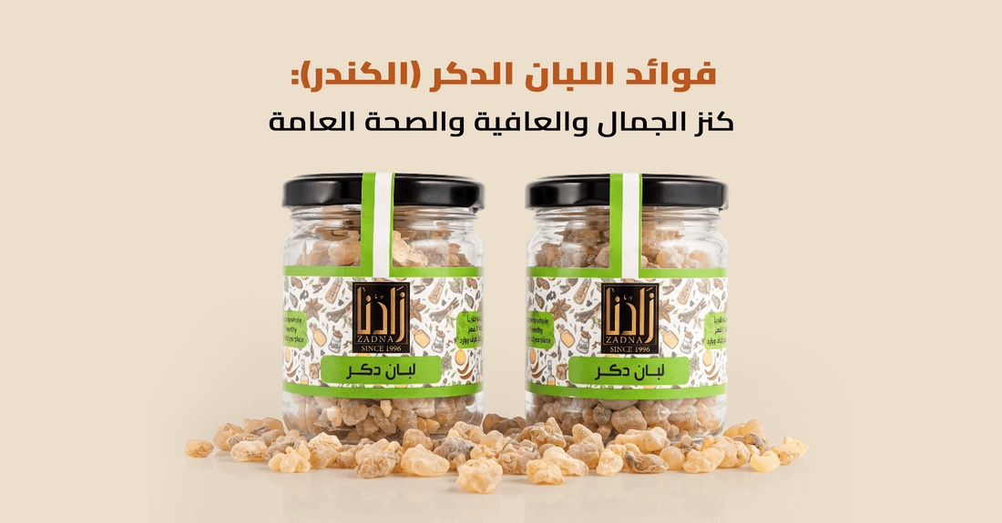 فوائد اللبان الدكر