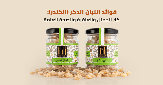 فوائد اللبان الدكر